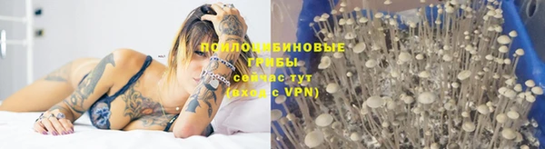 таблы Алзамай