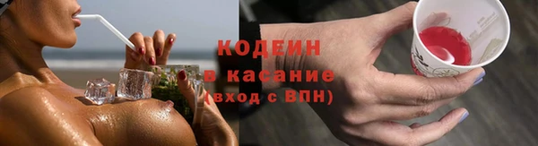 дурь Покачи