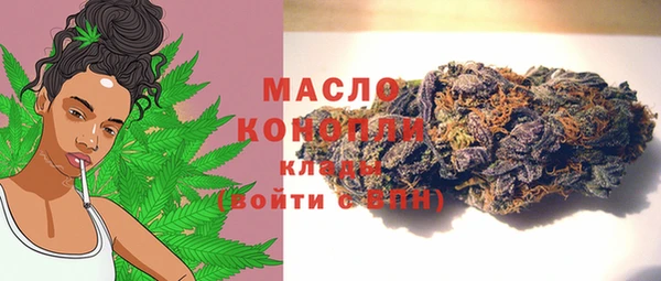 индика Покров