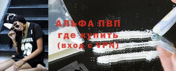 индика Покров