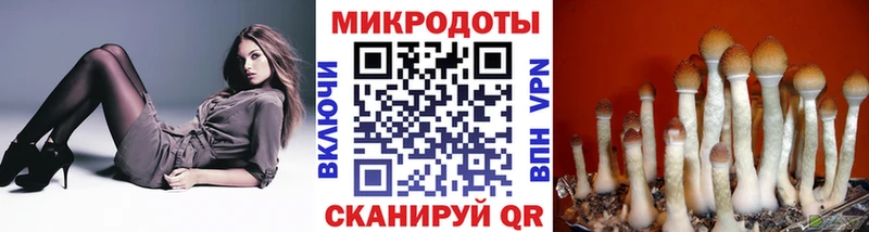 Псилоцибиновые грибы Psilocybine cubensis  Пикалёво 